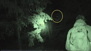 Tracking Bigfoot Eye Shine Tracks in Snow & Vocalizations