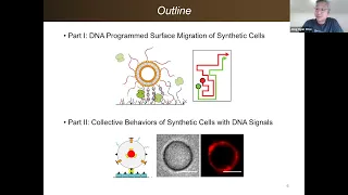 Build-a-Cell seminar Jong Hyun Choi: DNA programmed motility of synthetic cells