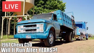 LIVE Abandoned 1967 Chevy C50 Farm Truck | Will It Run After Sitting Up For YEARS? | RESTORED