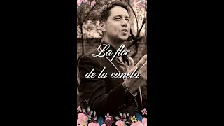 La flor de la canela - Chabuca Granda - Cover by Juan Carlos Cerna - Vals Peruano