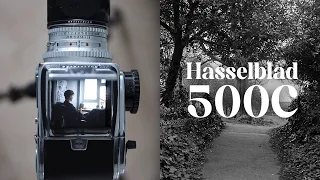 Hasselblad 500C, medium format perfection