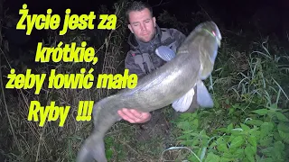 Sandacz |Big Zander Fishing | Nocny Sandacz