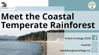 Meet the Coastal Temperate Rainforest