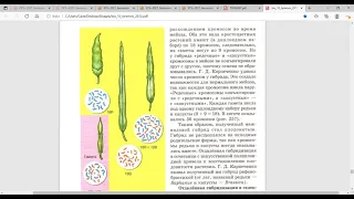 Подготовка к ЕГЭ: как преодолеть бесплодие у гибридов при отдалённой гибридизации (узнать за 6 мин)