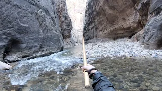 THE NARROWS [FULL HIKE] - ZION NATIONAL PARK