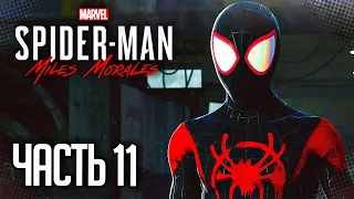 Spider Man: Miles Morales |#11| - БИТВА С БРОДЯГОЙ
