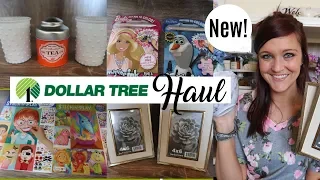 DOLLAR TREE HAUL APRIL 2019 | NEW ITEMS | NEW FINDS | NAME BRAND PRODUCTS | GIFT IDEAS