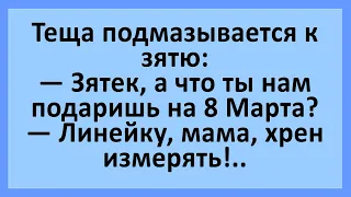 Тёща подмазывается к зятю... Анекдоты смешные до слез! Юмор! Приколы!