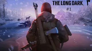 ЗОНА ЗАПУСТЕНИЯ И КИТОБОЙНАЯ СТАНЦИЯ / Выживание The Long Dark #1