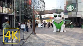 4K Walking tours in Beijing Sanlitun Taikoo Li｜What it is like in China Capital（北京三里屯）