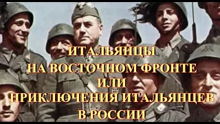 Итальянцы на восточном фронте