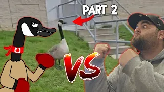 Dave & Susan The Canadian Cobra Chicken Couple Chronicles (Part 2 of the Viral Web Series)