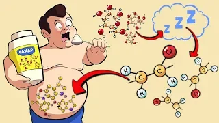 Почему НЕЛЬЗЯ есть СЛАДКОЕ на НОЧЬ (даже Худым Эктоморфам)