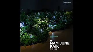 Case Study 31: Nam June Paik