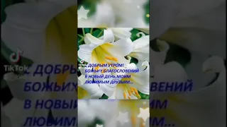 Доброе утро! Божьего благословения на весь день!