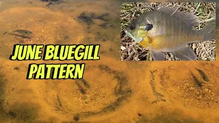 Catch Tons Of June Bass With THIS Spawning Bluegill Strategy..