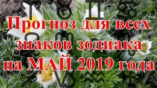 Прогноз для всех знаков зодиака на МАЙ 2019 года