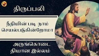 13  November  2022 Holy Mass in Tamil 06 AM (Sunday First Mass) | Madha TV