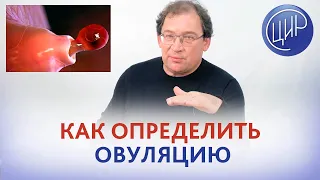 Признаки овуляции. Определение овуляции в домашних условиях. Как определить овуляцию. Гузов И.И.