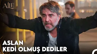 Aslan'ın Yeni Düşmanı - Aile 28. Bölüm