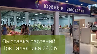 Выставка растений Трк Галактика 24.06