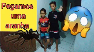 pegando uma aranha carangejeira na mão  desafio: (criança pegando aranha)