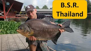 Danny is Back at Bungsamran fishing in Thailand Bangkok for Siamese carp, Mekong catfish and Pacu.