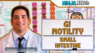 Gastrointestinal | GI Motility of the Small Intestine