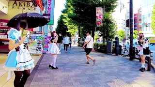 [Akihabara Walk in Tokyo] Maid Cafe Sanctuary ♪ (4K ASMR non-stop 1 hour 03 minutes)