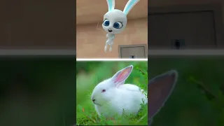 Kwamis in real life Fluff - Rabbit | Miraculous Ladybug #Shorts