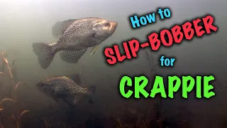 Slip Bobber Crappie