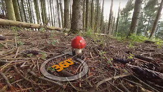 🍄 Magic Mushroom in Mystical Forest | Europe Nature 360°