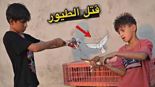 فلم قصير محاولة قتل الطيور🦜 الناس المتخلفة شوف شصار😱#حسام ابن العراق