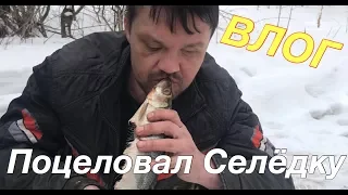 ВЛОГ:Выпил Литр молока/Закусил селедкой!!!