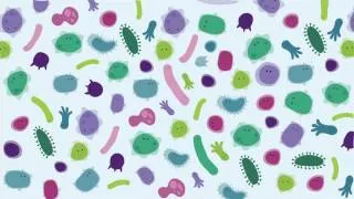 Introducing The Human Gut Microbiome