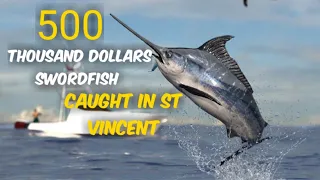 The world's most expensive fish