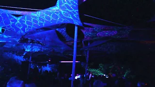 Future Ripples live at Kamino Festival 2018