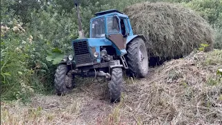Трактор Беларусь МТЗ 82 Возить Сена 2021