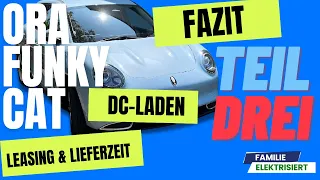 ORA Funky Cat 300 - TEIL 3  - DC-Laden / Fazit / Lieferzeit