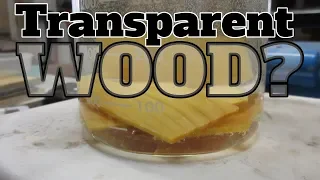 Transparent Wood : Failure is definitely an option.
