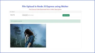 File Upload in Node js Express using Multer