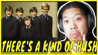 Herman's Hermits There's A Kind Of Hush Reaction