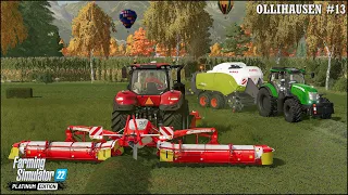 Rolling a Wheat Field. Making & Hauling Grass Silage Bales🔹Ollihausen Ep.13🔹Farming Simulator 22