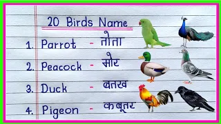 20 birds name in hindi and english | birds name | पक्षियों का नाम | birds name in english | birds
