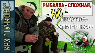 Рыбалка в КРХ "Тучково" ПЛОТВА ЕСТЬ/НАДО ИСКАТЬ/РАЗМЕР ДОБРОТНЫЙ!