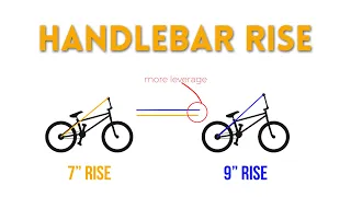 Finding the CORRECT Bar Height (It's Tough)