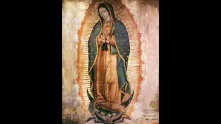 Manojito te imposibles a la Santísima Virgen de Guadalupe