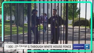 Littlest intruder: Toddler crawls through White House fence