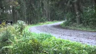 Godrive Rallyteam 2012 (HD) by FOTORALLY.BE