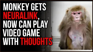 Elon Musk Implants Neuralink In A Monkey, Now It Plays Video Games With Its THOUGHTS, So Cool